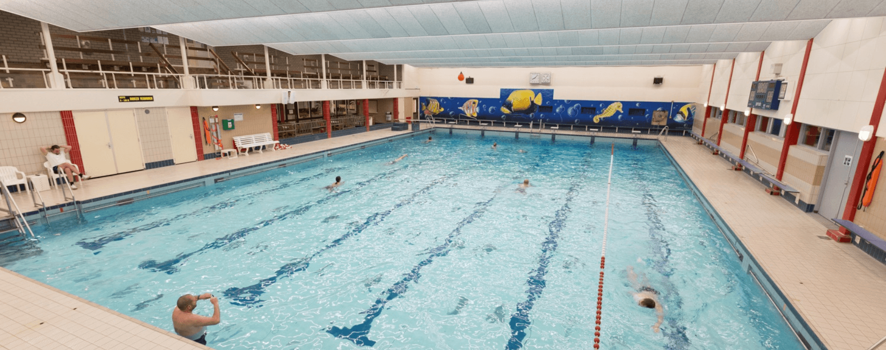 Zwembad de Parrel 25m bad